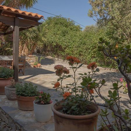 Private Pet Friendly Villa Agios Nikolaos Exterior foto